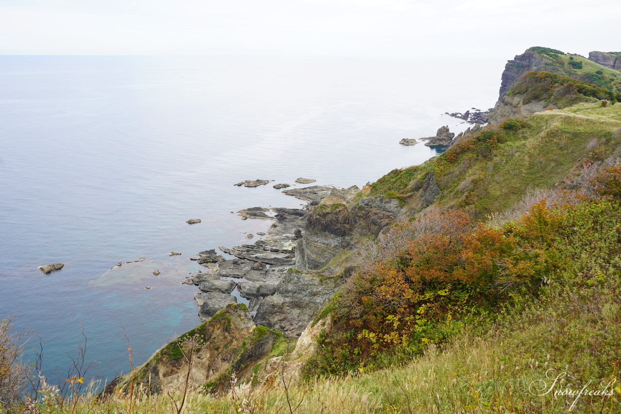 北海道積丹町・鰊漁で栄えた町の趣を現代に！『もっこ de ピクニック 第1弾』～ 主催：澗 Hiroma and 鰊伝習館ヤマシメ番屋